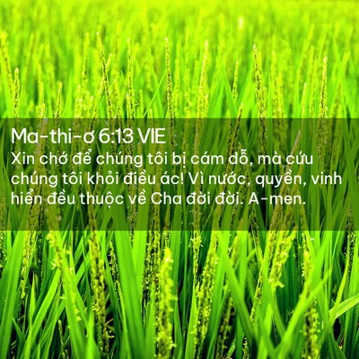 Picture 02 - Ma-thi-ơ 6:13 VIE - Xin chớ để chúng tôi bị cám dỗ, mà - Bible Verse Picture