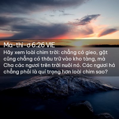 Picture 02 - Ma-thi-ơ 6:26 VIE - Hãy xem loài chim trời: chẳng có gieo, - Bible Verse Picture