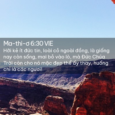Picture 02 - Ma-thi-ơ 6:30 VIE - Hỡi kẻ ít đức tin, loài cỏ ngoài - Bible Verse Picture