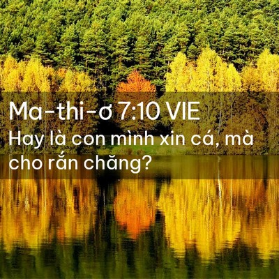 Picture 02 - Ma-thi-ơ 7:10 VIE - Hay là con mình xin cá, mà cho rắn - Bible Verse Picture