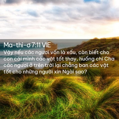 Picture 02 - Ma-thi-ơ 7:11 VIE - Vậy nếu các ngươi vốn là xấu, còn - Bible Verse Picture