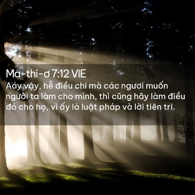 Picture 02 - Ma-thi-ơ 7:12 VIE - Aáy vậy, hễ điều chi mà các ngươi - Bible Verse Picture