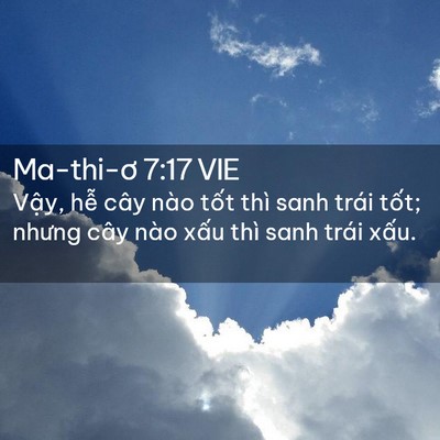 Picture 02 - Ma-thi-ơ 7:17 VIE - Vậy, hễ cây nào tốt thì sanh trái - Bible Verse Picture