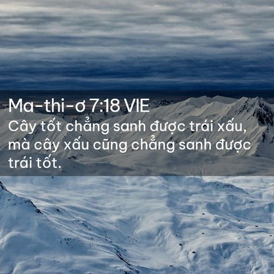 Picture 02 - Ma-thi-ơ 7:18 VIE - Cây tốt chẳng sanh được trái xấu, mà - Bible Verse Picture