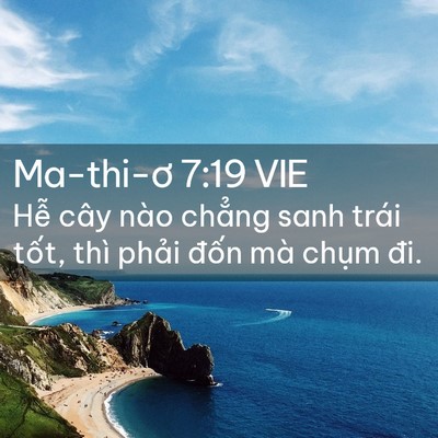 Picture 02 - Ma-thi-ơ 7:19 VIE - Hễ cây nào chẳng sanh trái tốt, thì - Bible Verse Picture