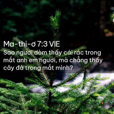 Picture 02 - Ma-thi-ơ 7:3 VIE - Sao ngươi dòm thấy cái rác trong mắt anh - Bible Verse Picture