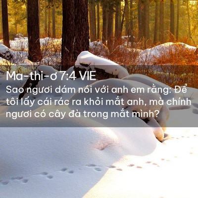 Picture 02 - Ma-thi-ơ 7:4 VIE - Sao ngươi dám nói với anh em rằng: Để - Bible Verse Picture