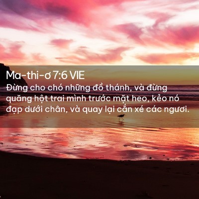 Picture 02 - Ma-thi-ơ 7:6 VIE - Đừng cho chó những đồ thánh, và - Bible Verse Picture