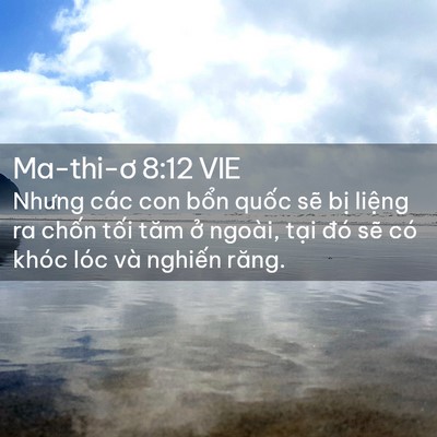 Picture 02 - Ma-thi-ơ 8:12 VIE - Nhưng các con bổn quốc sẽ bị liệng ra - Bible Verse Picture