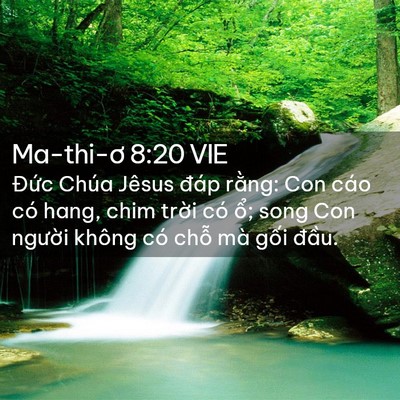 Picture 02 - Ma-thi-ơ 8:20 VIE - Đức Chúa Jêsus đáp rằng: Con cáo có - Bible Verse Picture
