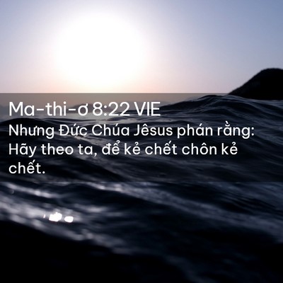 Picture 02 - Ma-thi-ơ 8:22 VIE - Nhưng Đức Chúa Jêsus phán rằng: Hãy - Bible Verse Picture