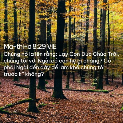 Picture 02 - Ma-thi-ơ 8:29 VIE - Chúng nó la lên rằng: Lạy Con Đức Chúa - Bible Verse Picture