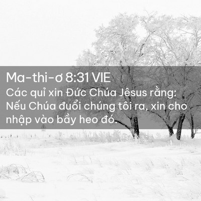 Picture 02 - Ma-thi-ơ 8:31 VIE - Các quỉ xin Đức Chúa Jêsus rằng: Nếu - Bible Verse Picture