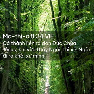 Picture 02 - Ma-thi-ơ 8:34 VIE - Cả thành liền ra đón Đức Chúa Jêsus; - Bible Verse Picture