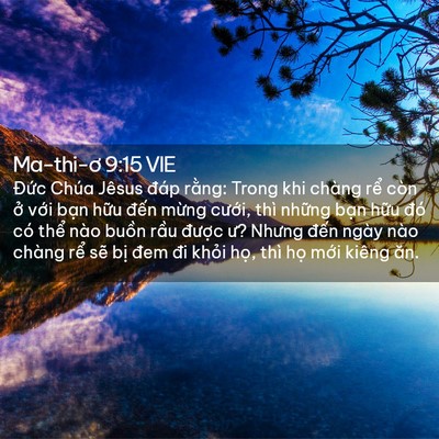 Picture 02 - Ma-thi-ơ 9:15 VIE - Đức Chúa Jêsus đáp rằng: Trong khi - Bible Verse Picture
