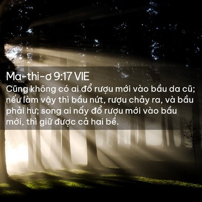 Picture 02 - Ma-thi-ơ 9:17 VIE - Cũng không có ai đổ rượu mới vào - Bible Verse Picture