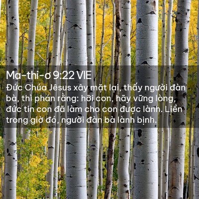 Picture 02 - Ma-thi-ơ 9:22 VIE - Đức Chúa Jêsus xây mặt lại, thấy - Bible Verse Picture
