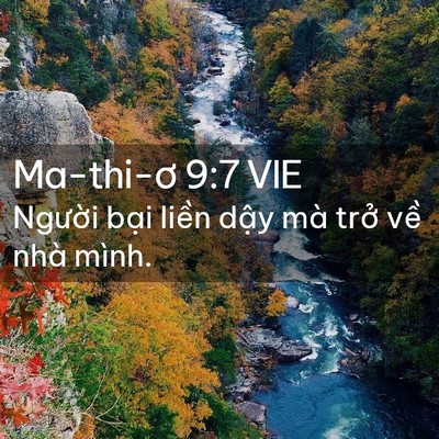 Picture 02 - Ma-thi-ơ 9:7 VIE - Người bại liền dậy mà trở về nhà - Bible Verse Picture