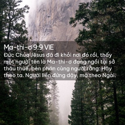 Picture 02 - Ma-thi-ơ 9:9 VIE - Đức Chúa Jêsus đã đi khỏi nơi đó - Bible Verse Picture