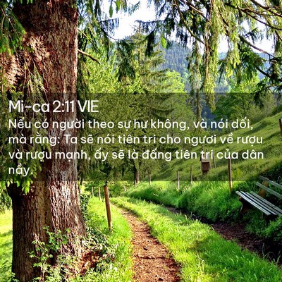 Picture 02 - Mi-ca 2:11 VIE - Nếu có người theo sự hư không, và nói - Bible Verse Picture