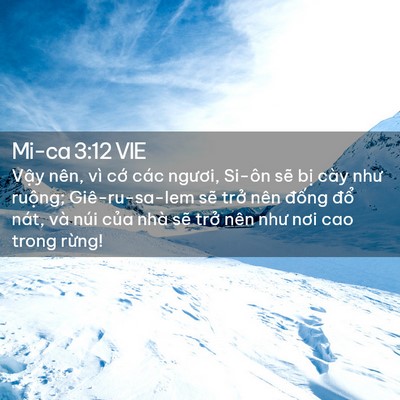 Picture 02 - Mi-ca 3:12 VIE - Vậy nên, vì cớ các ngươi, Si-ôn sẽ - Bible Verse Picture