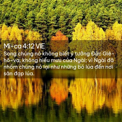 Picture 02 - Mi-ca 4:12 VIE - Song chúng nó không biết ý tưởng Đức - Bible Verse Picture