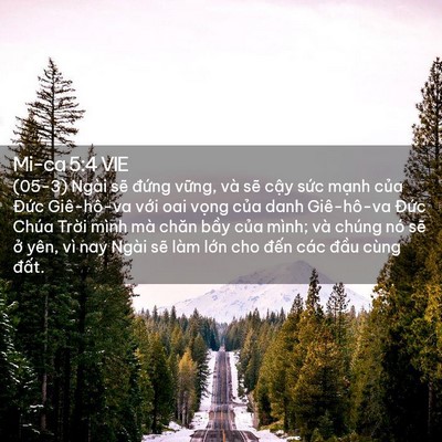 Picture 02 - Mi-ca 5:4 VIE - (05-3) Ngài sẽ đứng vững, và sẽ cậy - Bible Verse Picture