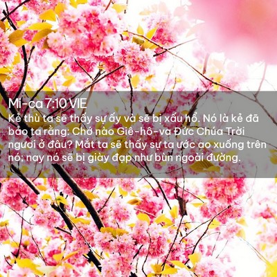 Picture 02 - Mi-ca 7:10 VIE - Kẻ thù ta sẽ thấy sự ấy và sẽ bị - Bible Verse Picture