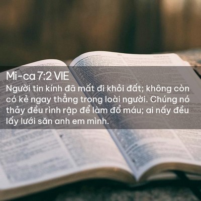 Picture 02 - Mi-ca 7:2 VIE - Người tin kính đã mất đi khỏi đất; - Bible Verse Picture