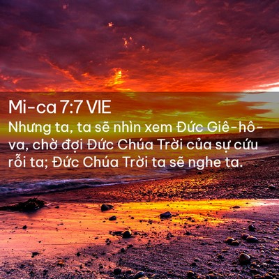 Picture 02 - Mi-ca 7:7 VIE - Nhưng ta, ta sẽ nhìn xem Đức Giê-hô-va, - Bible Verse Picture