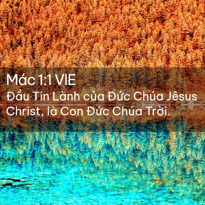Picture 02 - Mác 1:1 VIE - Đầu Tin Lành của Đức Chúa Jêsus - Bible Verse Picture