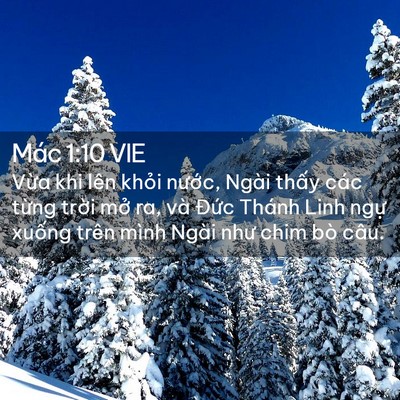 Picture 02 - Mác 1:10 VIE - Vừa khi lên khỏi nước, Ngài thấy các - Bible Verse Picture