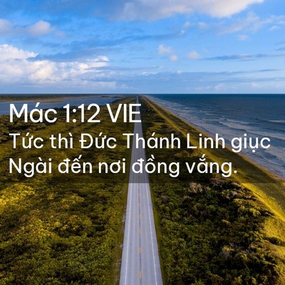 Picture 02 - Mác 1:12 VIE - Tức thì Đức Thánh Linh giục Ngài đến - Bible Verse Picture
