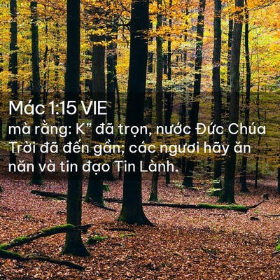 Picture 02 - Mác 1:15 VIE - mà rằng: K” đã trọn, nước Đức - Bible Verse Picture