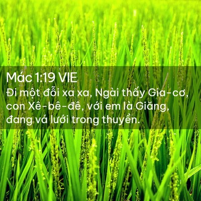 Picture 02 - Mác 1:19 VIE - Đi một đỗi xa xa, Ngài thấy Gia-cơ, con - Bible Verse Picture