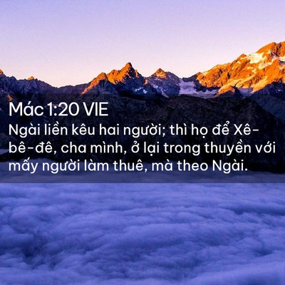 Picture 02 - Mác 1:20 VIE - Ngài liền kêu hai người; thì họ để - Bible Verse Picture