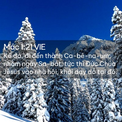 Picture 02 - Mác 1:21 VIE - Kế đó, đi đến thành Ca-bê-na-um; nhằm - Bible Verse Picture