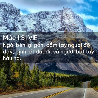 Picture 02 - Mác 1:31 VIE - Ngài bèn lại gần, cầm tay người đỡ - Bible Verse Picture