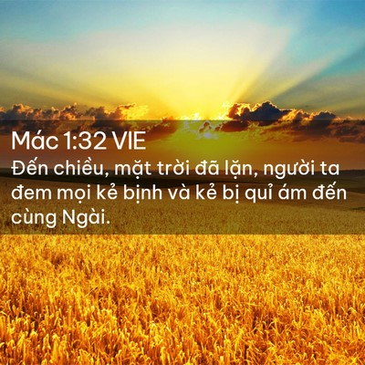 Picture 02 - Mác 1:32 VIE - Đến chiều, mặt trời đã lặn, người - Bible Verse Picture
