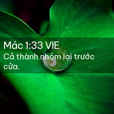 Picture 02 - Mác 1:33 VIE - Cả thành nhóm lại trước - Bible Verse Picture