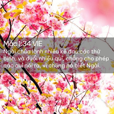 Picture 02 - Mác 1:34 VIE - Ngài chữa lành nhiều kẻ đau các thứ - Bible Verse Picture