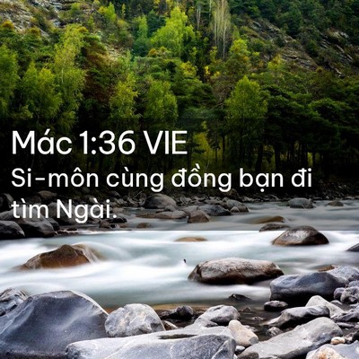 Picture 02 - Mác 1:36 VIE - Si-môn cùng đồng bạn đi tìm - Bible Verse Picture