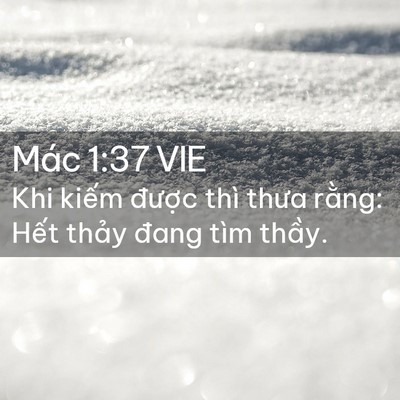 Picture 02 - Mác 1:37 VIE - Khi kiếm được thì thưa rằng: Hết - Bible Verse Picture