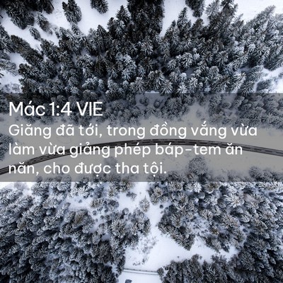 Picture 02 - Mác 1:4 VIE - Giăng đã tới, trong đồng vắng vừa - Bible Verse Picture