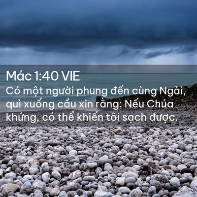 Picture 02 - Mác 1:40 VIE - Có một người phung đến cùng Ngài, quì - Bible Verse Picture
