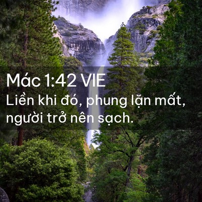 Picture 02 - Mác 1:42 VIE - Liền khi đó, phung lặn mất, người - Bible Verse Picture
