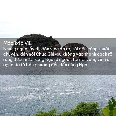 Picture 02 - Mác 1:45 VIE - Nhưng người ấy đi, đồn việc đó ra, - Bible Verse Picture