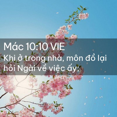 Picture 02 - Mác 10:10 VIE - Khi ở trong nhà, môn đồ lại hỏi Ngài - Bible Verse Picture