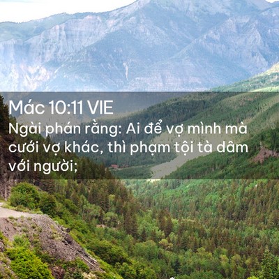 Picture 02 - Mác 10:11 VIE - Ngài phán rằng: Ai để vợ mình mà - Bible Verse Picture