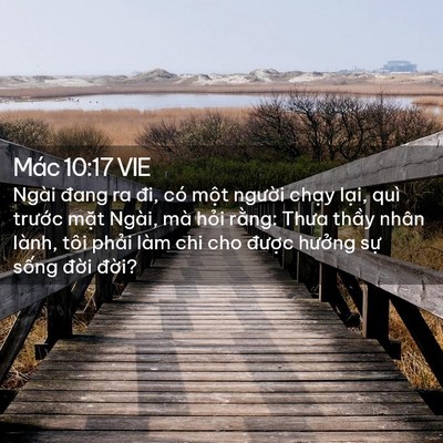 Picture 02 - Mác 10:17 VIE - Ngài đang ra đi, có một người chạy - Bible Verse Picture